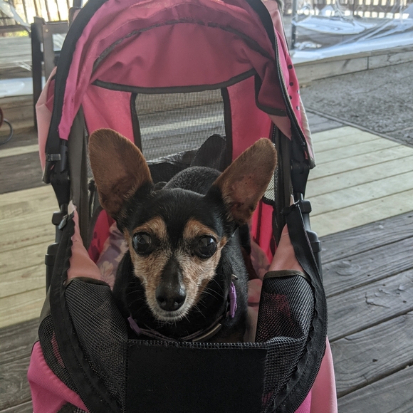 Meet your Posher, Marla - Picture 10 of 11